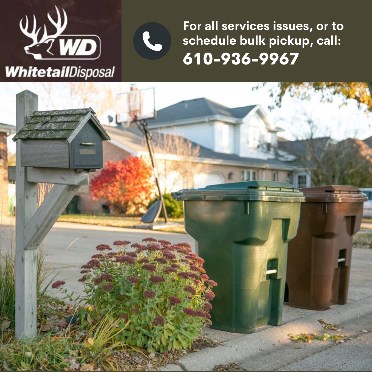 Cart Placement & Contact Info